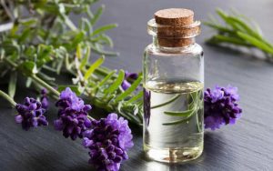 lavender-essential-oil-300x188.jpg